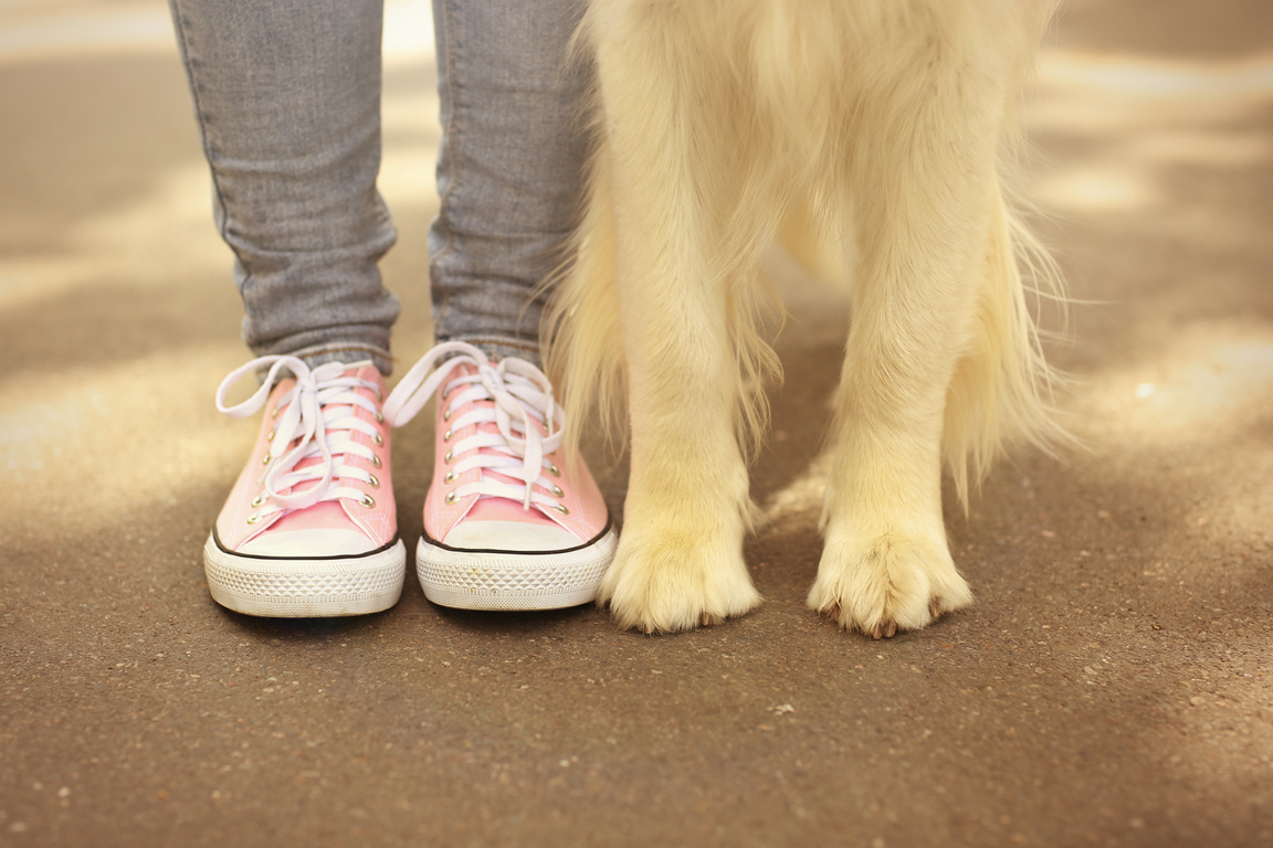 Kid and His Dog Feet on Street